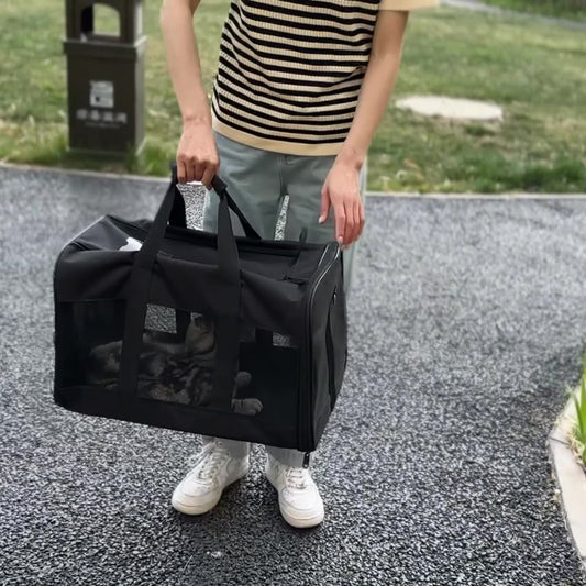 Borsa Trasportino per Cani e Gatti da Auto, Trasportino Portatile per Animali Domestici, Gabbia Pieghevole da Viaggio, Borsa Traspirante per Uscite e Trasporto